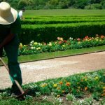 Jardineiro em Joinville